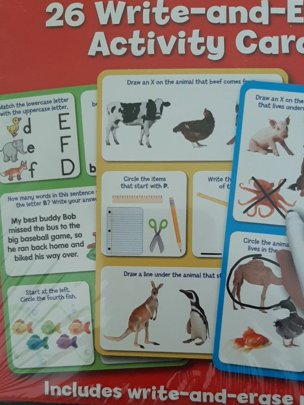 Kindergarten Write-and-Erase Activity Cards